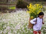 recorrido hoteles rurales baratos cerca Madrid: mejor para viajeros