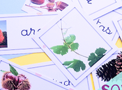 Encuentra todos nuestros recursos Profes Papel Tijera Tienda