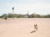 Delines haunting thoughts (2025)