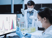 Investigación cualitativa Informática Salud