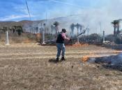 Protección Civil Soledad combate incendio forestal Libramiento Oriente
