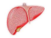 estatinas disminuyen riesgo desarrollar cáncer hígado