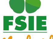 FSIE Madrid aboga diálogo libertad elección ante futuro Decreto sobre dispositivos digitales