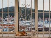 Desayunos Jaca: mejores lugares para disfrutar