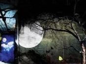 Oculto Estados (2006)