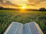 6.156 hablar amor...