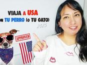 VIAJAR ESTADOS UNIDOS PERRO tràmites 2025