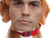 perrocracia española