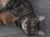 mundo línea infinita (Extracto)