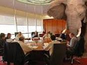 Elefantes habitación