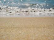 Ocio Elche: actividades recreativas para pasar rato “Oasis Mediterraneo”