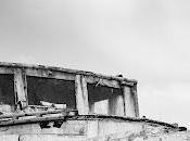 Arguedas. zorro arriba abajo