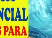 ABSURDO VIDA: Cómo hombre enfrentado ello largo historia