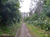 Trilho Praia Lagoa Fogo