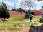 Gobierno Soledad fortalece limpieza mantenimiento escuelas para regreso clases