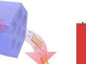 Túneles catalíticos permiten hidrólisis polímeros