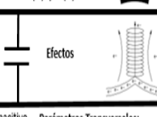 Parámetros eléctricos líneas transmisión. (Resistividad)