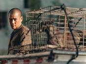 Black mejor amigo hombre