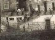 Pajarraca cine verano