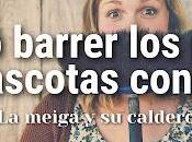 Cómo Barrer Pelos Mascotas Éxito