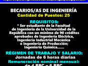 Becarios-as ingeniería