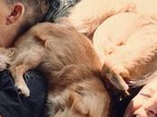 Sheffield Parte Reivindicar identidades