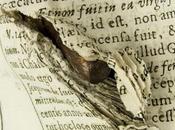 Libros para salvar República.