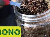 Mejora cosechas este abono natural casero