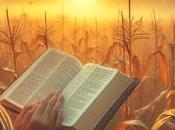 6.305 marchitaron...