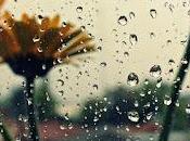 6.301 vuelve lluvia...