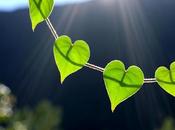 periódico Buenas Noticias