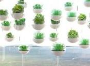 Skyfarm, huerto colgado techo