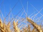 Estas siendo Zarandeado