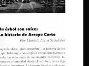 Historia Arroyo Corto. Daniela Leiva Seisdedos