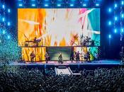 Amaral madrid: vida [crónica]