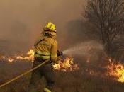 rescoldos culebra (2024), juan navarro garcía. fuego muerte incendios zamora.