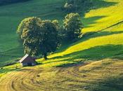 Suelos atrapan emisiones: revolución agricultura carbono
