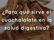 ¿Para sirve cuachalalate salud digestiva?