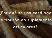 ¿Por cartílago tiburón suplementos articulares?