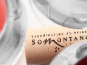 Presentación festival vino somontano