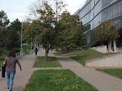 falacia Nobel creyentes