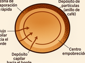 Café pompas jabón.