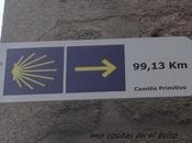 Camino Santiago: Primitivo desde Lugo