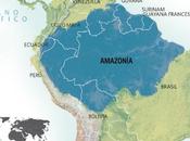 Amazonía Vital para nuestro planeta toda humanidad