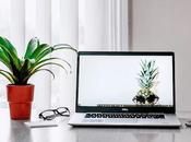 Errores comunes cuidar plantas interior cómo evitarlos