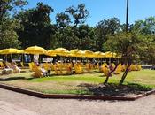 Recorriendo Buenos Aires: Parque Rivadavia-