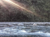 Última visita lago Puerto Patriada este verano.