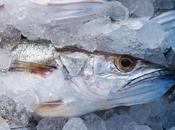 ¿Puedo comer merluza durante embarazo?