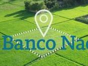 Banco Nación lanzará crédito hipotecario para comprar terrenos 2025