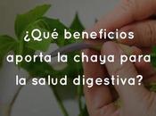 ¿Qué beneficios aporta chaya para salud digestiva?